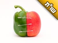אני ובעלי פרודים ויש לו צו הרחקה מהבית. האם כדאי לנסות לעשות שלום בית?