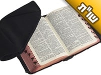 האם גם בתחום ההלכה ניתן ללמוד בגירסא?