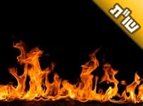 בעלי לומד בחברותא עם אחיו, ואני חוששת שהדעות הנפסדות של אחיו יחלחלו גם אליו