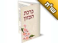 האם צריכים לברך את ברכת המזון דווקא מתוך סידור, או שאפשר לברך גם מתוך ברכון?