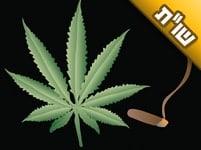 אני מעשן סמים קלים, וזה עוזר לי להירגע. האם זה נכון שרבי נחמן התנגד לכך?