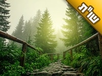 האם זה נכון שכדי שאדם יגיע לשלמותו ותיקונו בזה העולם הוא מוכרח להתקרב דווקא לרבי נחמן מברסלב?