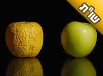 האם כדאי לי להיכנס לישיבה למרות שאני כבר בן עשרים ושלוש?