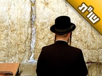 אני רוצה להתחתן רק עם חסיד ברסלב. איפה אוכל להכיר חסיד ברסלב אמיתי?