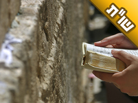 כתוב שהתורה מצילה את האדם ושומרת עליו. האם זה רק בזמן שהוא עוסק בה ממש או כל הזמן?