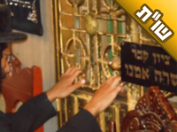 אני נשואה ארבע שנים ועדיין אין לנו ילדים. מה עליי לעשות כדי להיפקד?