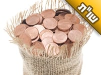 מהו הסכום שצריך לתת לפדיון נפש? והאם צריך לתת דווקא לידי הצדיק ממש?