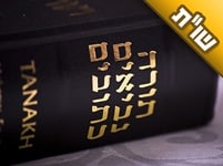 'כל שישנו במקרא ובמשנה ובדרך ארץ לא במהרה הוא חוטא'. איך מקיימים משנה זאת הלכה למעשה?
