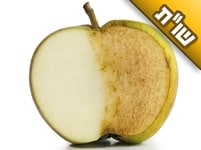 בעלי לא מסתדר עם בני מהנישואין הקודמים, ויש ביניהם ויכוחים רבים בענייני דת. מה עושים?