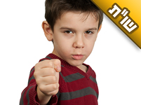 האם מותר להחזיר לאדם שמכה אותי על לא דבר?