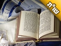 אנו שוקלים לפתוח בעירנו חנות לתשמישי קדושה. האם ללכת על זה?