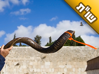 מה דעתכם לגבי 'קולות השופר' הנשמעים לאחרונה ברחבי העולם?