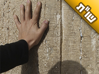 אני לומד בספרי רבינו והייתי באומן, אבל אני לא מרגיש שום שינוי רוחני. מדוע?