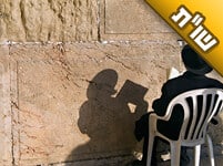 מדוע החסידים מקלים באמירת תחנון בימי יארצייט של צדיקים?