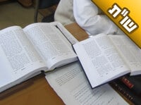 האם יש לחסידי ברסלב רב או ספר מסוים שהם הולכים אחר פסיקותיו?