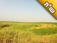 אנחנו בתהליך הפשרת קרקע לבניה אך המצב תקוע כבר כמה שנים, איך אפשר לקדם את זה?