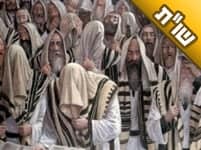 איך מקיימים "וידוי לפני תלמיד חכם"? ומי נקרא "תלמיד חכם"?