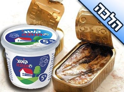 האם מותר לאכול דג וגבינה יחד?