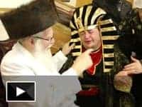 שמחה ללא גבולות: וידאו מפורים תשע״ב אצל הצדיק