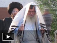 הצדיק מיבנאל הגיע לביקור של שבועיים בישראל