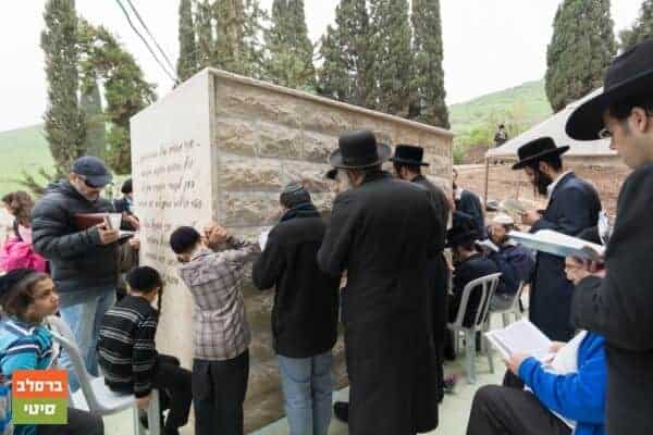 מהתהומות אל התאומות – בזכות התהילים