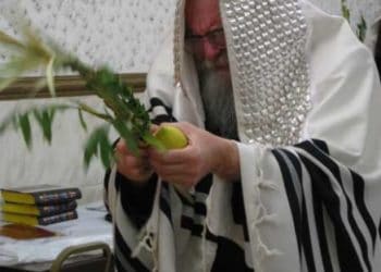 תמונות נפלאות מכ"ק מוהרא"ש זי"ע בחג הסוכות