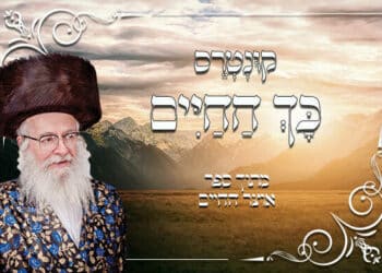 קונטרס כך החיים