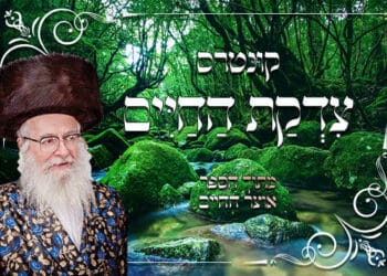 קונטרס צדקת החיים