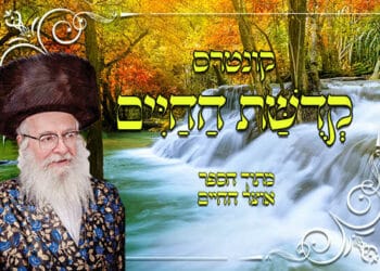 קונטרס קדושת החיים