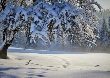 מה עשו מוהרא"ש זי"ע וחסידי ברסלב בחורף? מקבץ סיפורים מחממים לחורף הקר