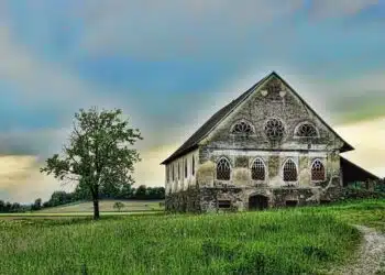 מה ההלכה בכאבי שיניים בצום, ואיפה כדאי לזוג לגור אחרי הנישואין?