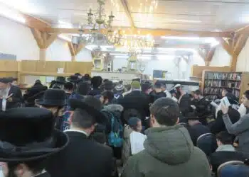 סקירה וגלריה מקיפה מהילולת כ"ק מוהרא"ש זי"ע – ה'תשפ"ו