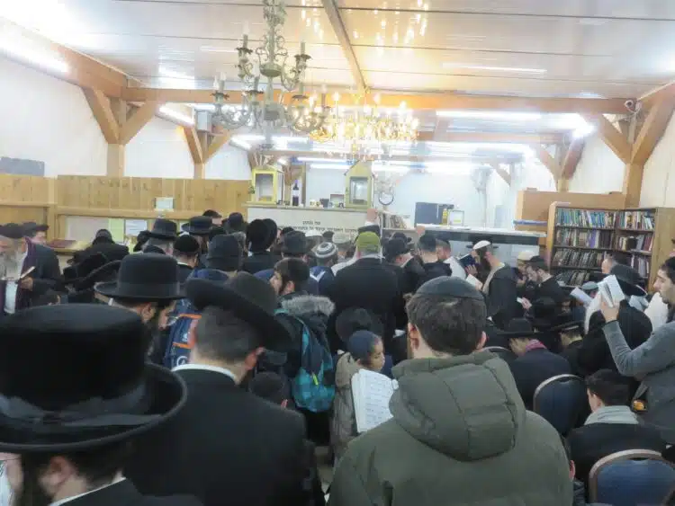 סקירה וגלריה מקיפה מהילולת כ"ק מוהרא"ש זי"ע – ה'תשפ"ו
