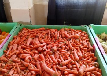 חלוקת קמחא דפסחא ביבנאל – תשפ"ו