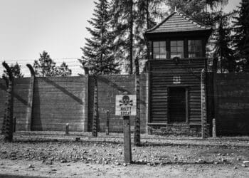 כיצד ניחם וחיזק מוהרא"ש אישה ניצולת שואה?