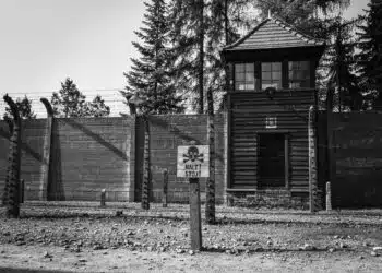 כיצד ניחם וחיזק מוהרא"ש אישה ניצולת שואה?