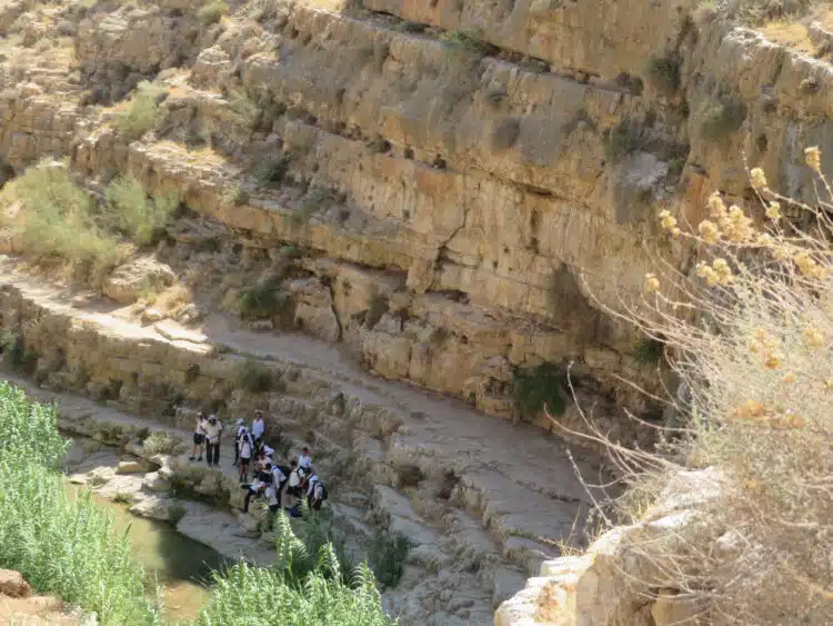 תורה ומנוחה: ישיבת "בית שלמה" בטיול יחד עם תפילה בכותל המערבי ובציון האור החיים הקדוש
