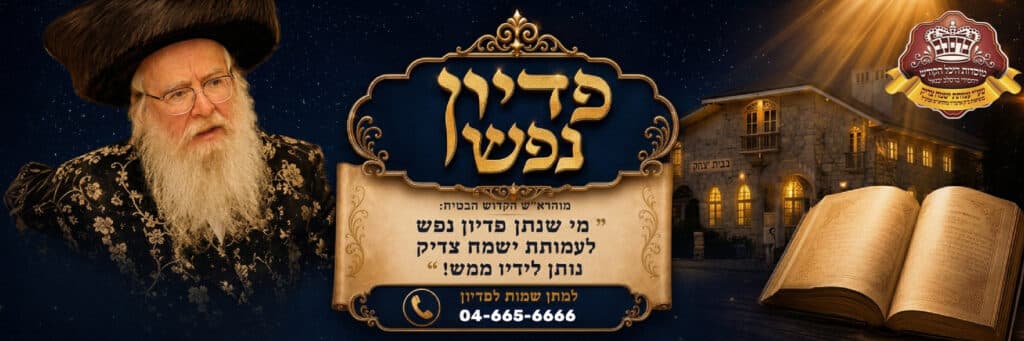 ברסלב סיטי 33